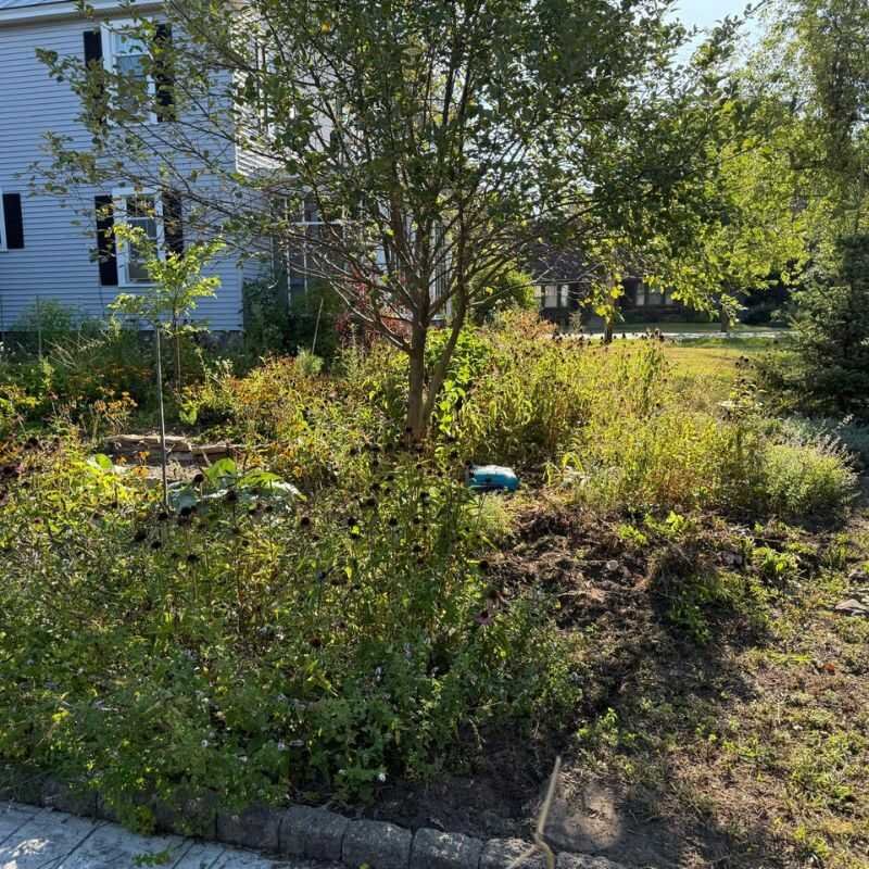 After landscaping project 18