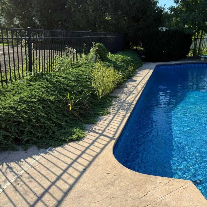 After landscaping project 2