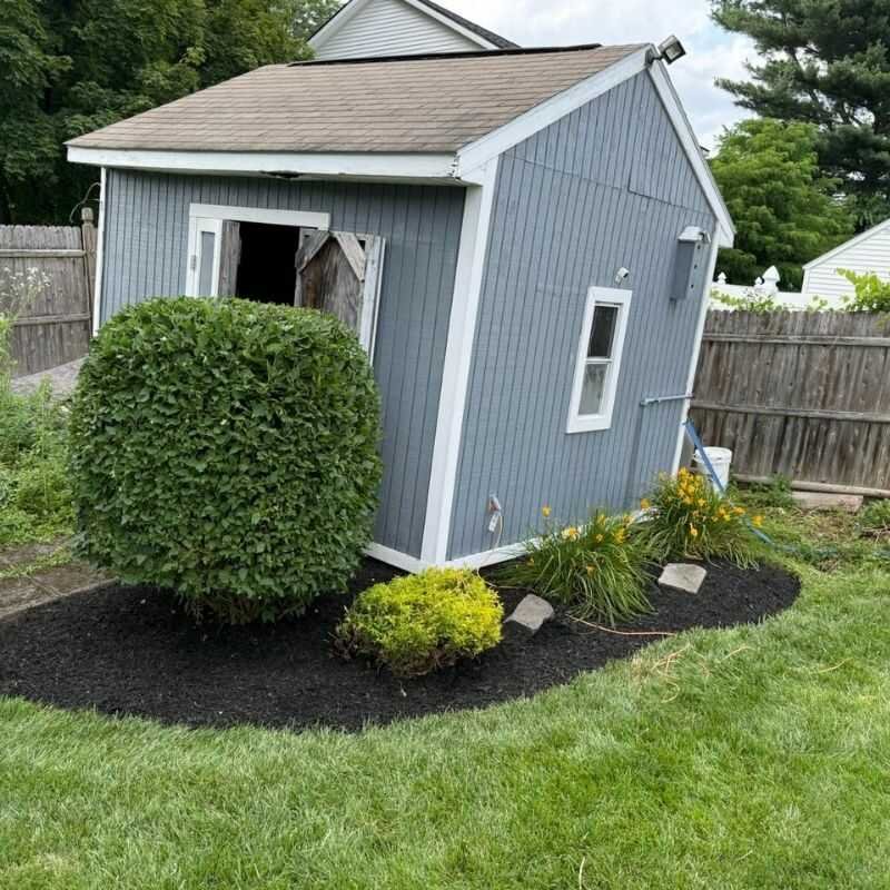 Before landscaping project 11