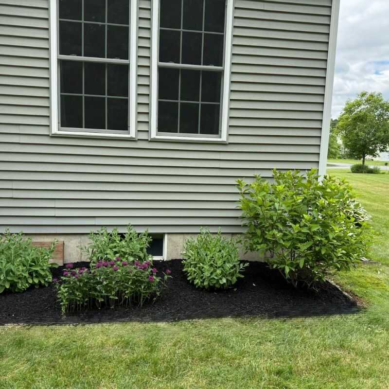 Before landscaping project 13