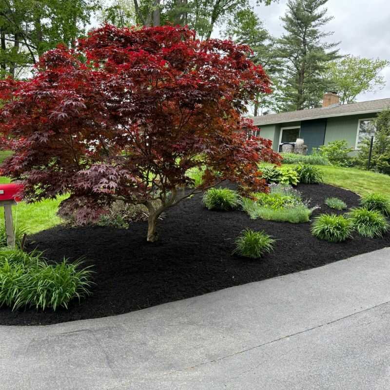 Before landscaping project 16