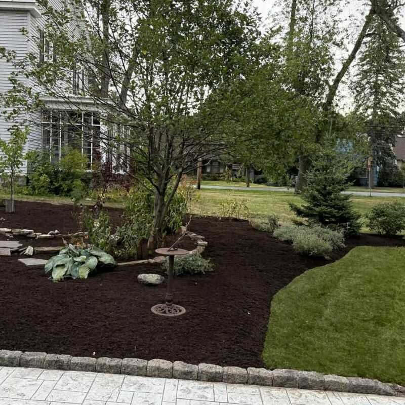 Before landscaping project 18