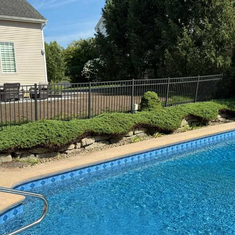 Before landscaping project 2