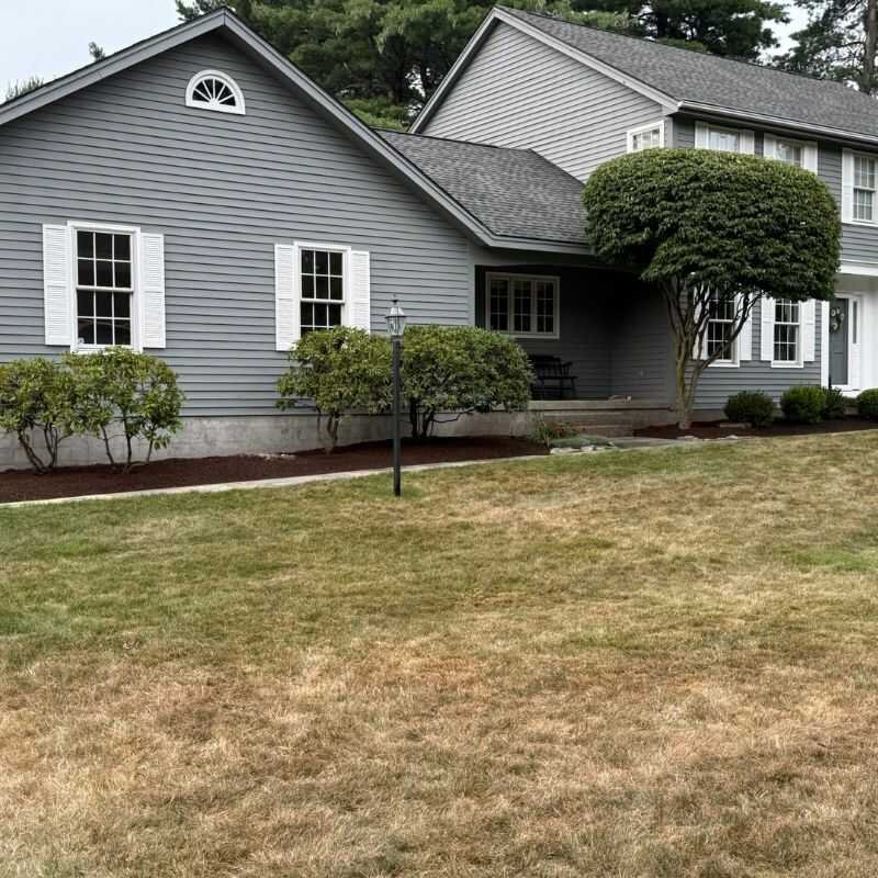 Before landscaping project 3