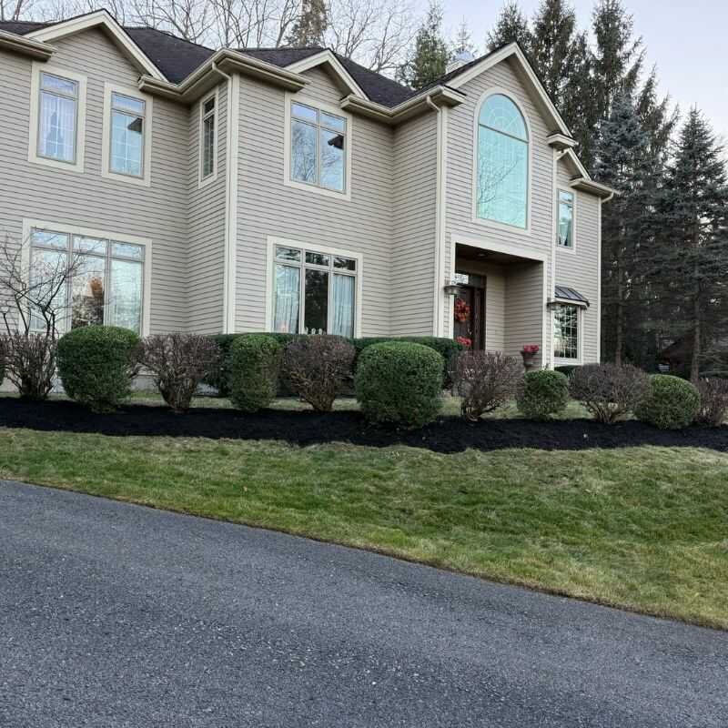 Before landscaping project 8