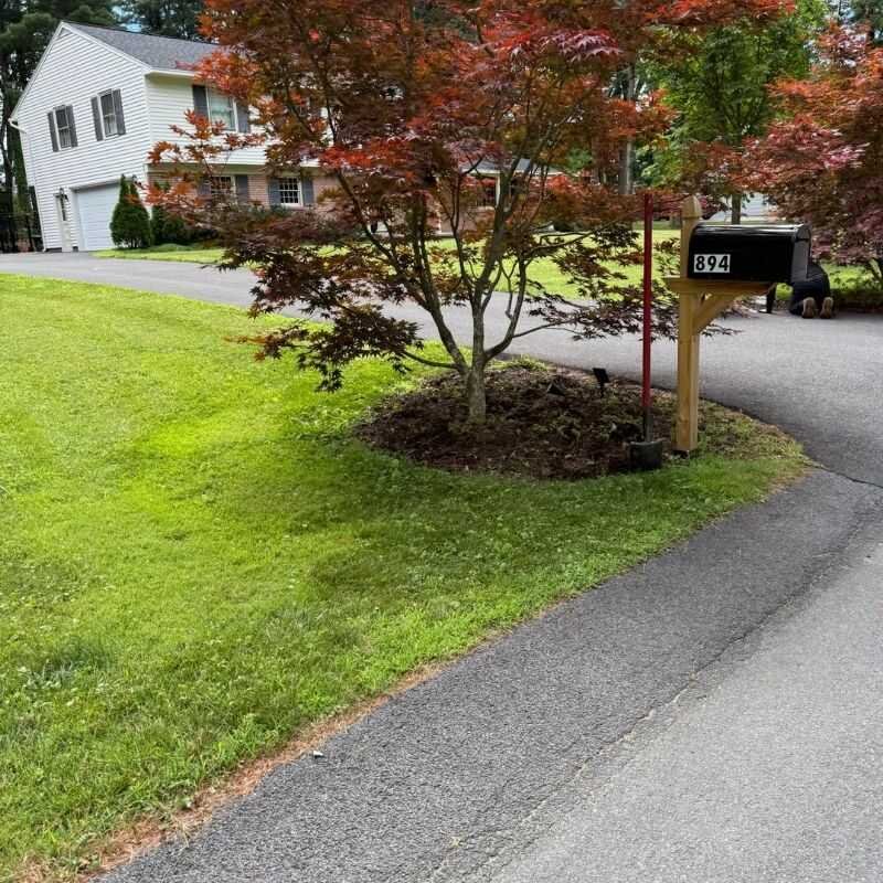 Maintained residential landscape in Schenectady NY