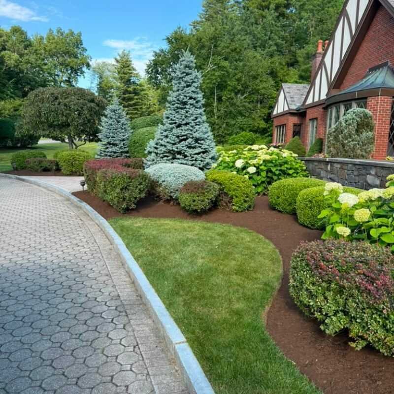 M&M landscaping project
