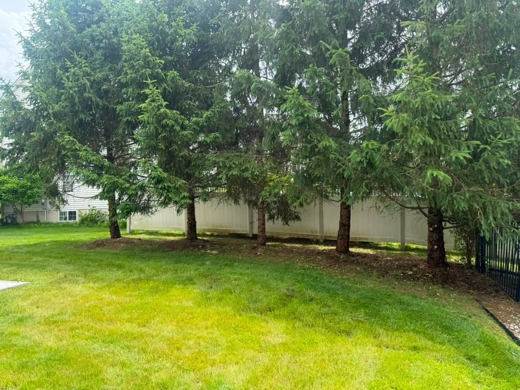 Tree and cleanup project after service